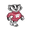 Wisconsin Badgers - Badgers - Full Color Vinyl Decal - Custom Size