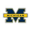 Michigan Wolverines Full Color Vinyl Decal - Custom Size
