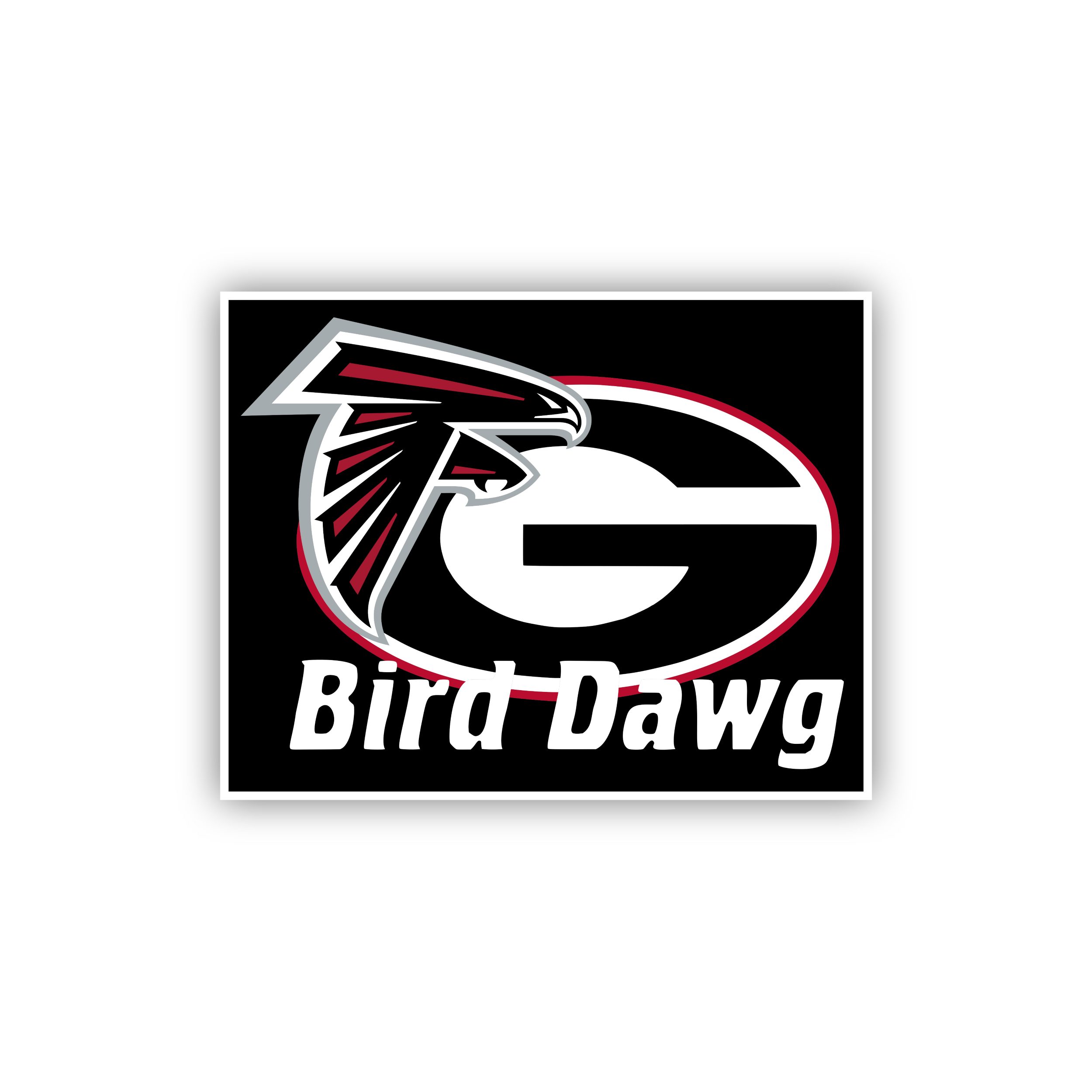 Atlanta falcons and Georgia Bulldogs