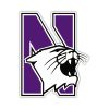 Northwestern Wildcats - N With Wildcat -  Full Color Vinyl Decal - Custom Size