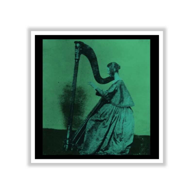 Tv Girl - Grapes Upon The Vine Album Cover - Full Color Vinyl Sticker - Custom Size