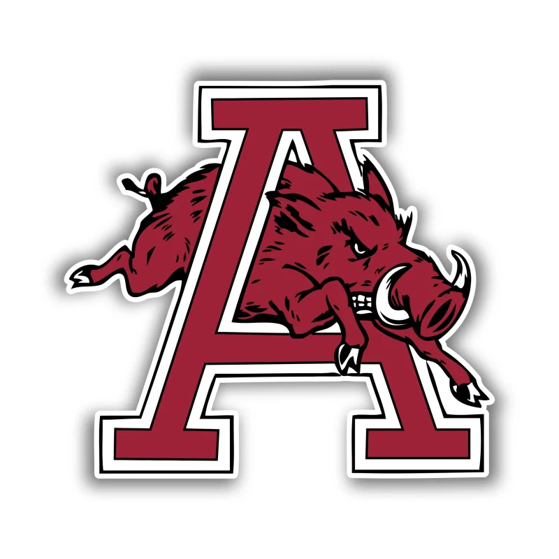 Arkansas Razorbacks - Iron On DTF Transfer - Custom Size