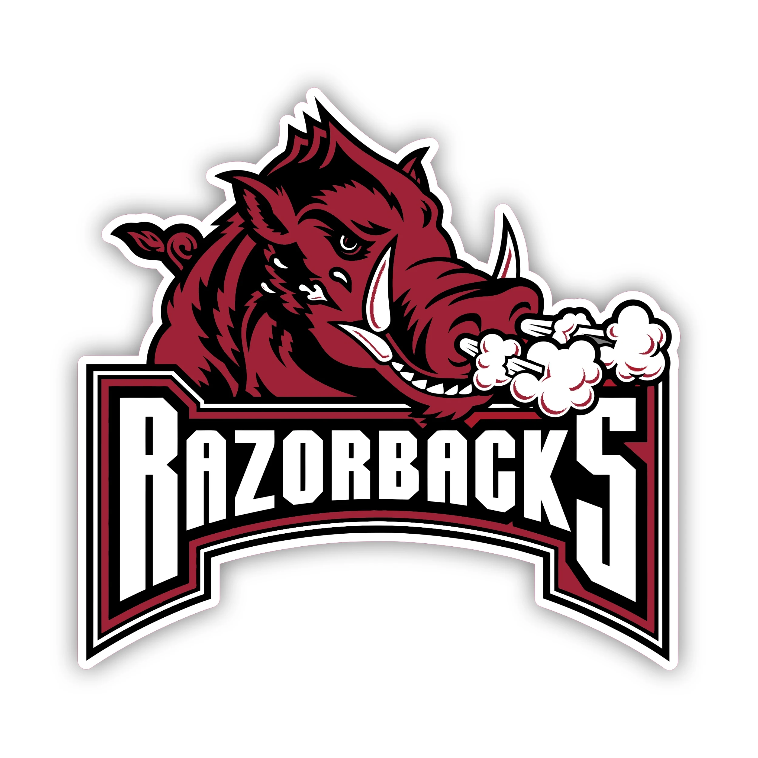 Arkansas Razorbacks - Iron On DTF Transfer - Custom Size