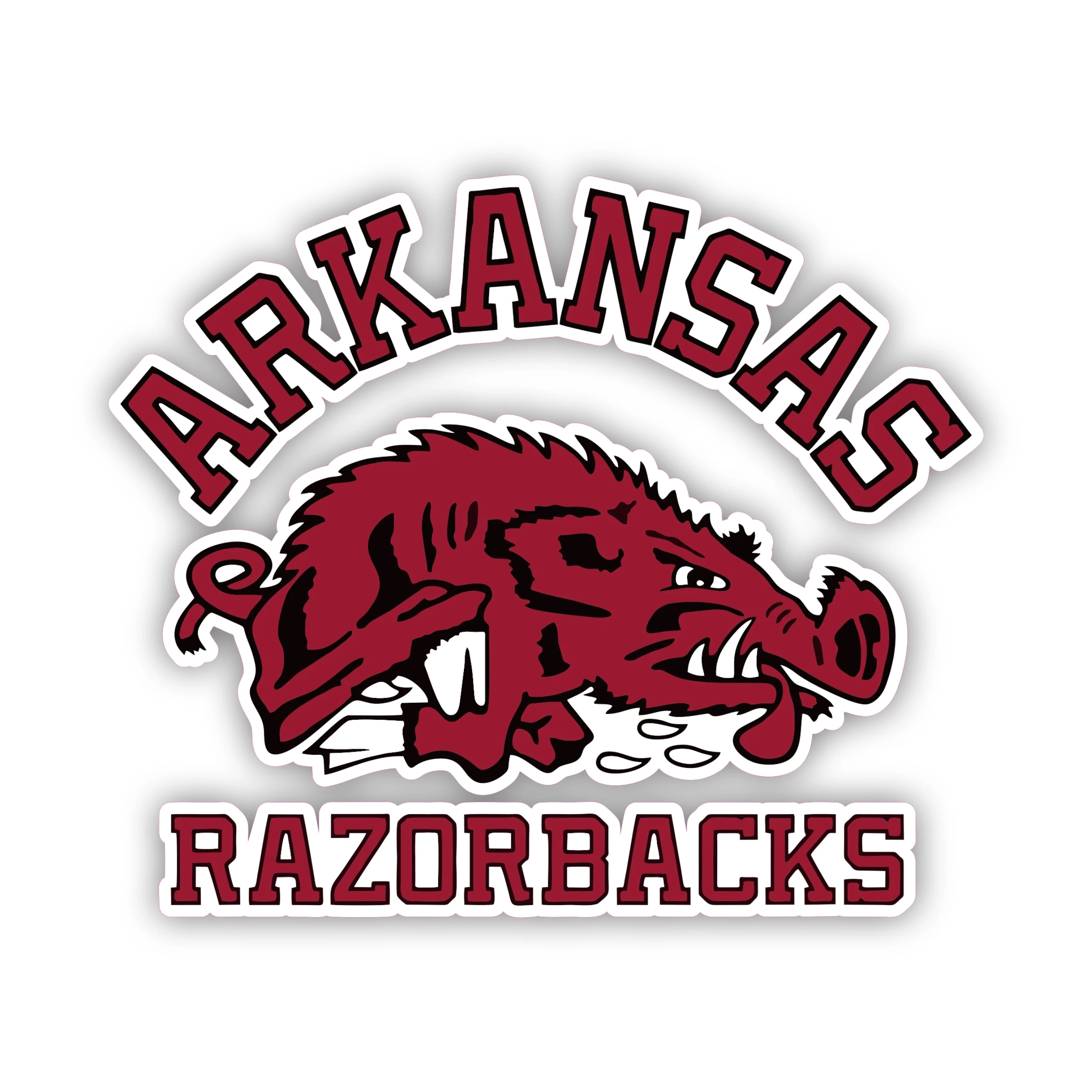 Arkansas Razorbacks - Iron On DTF Transfer - Custom Size