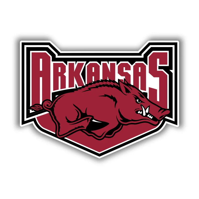 Arkansas Razorbacks - Iron On DTF Transfer - Custom Size