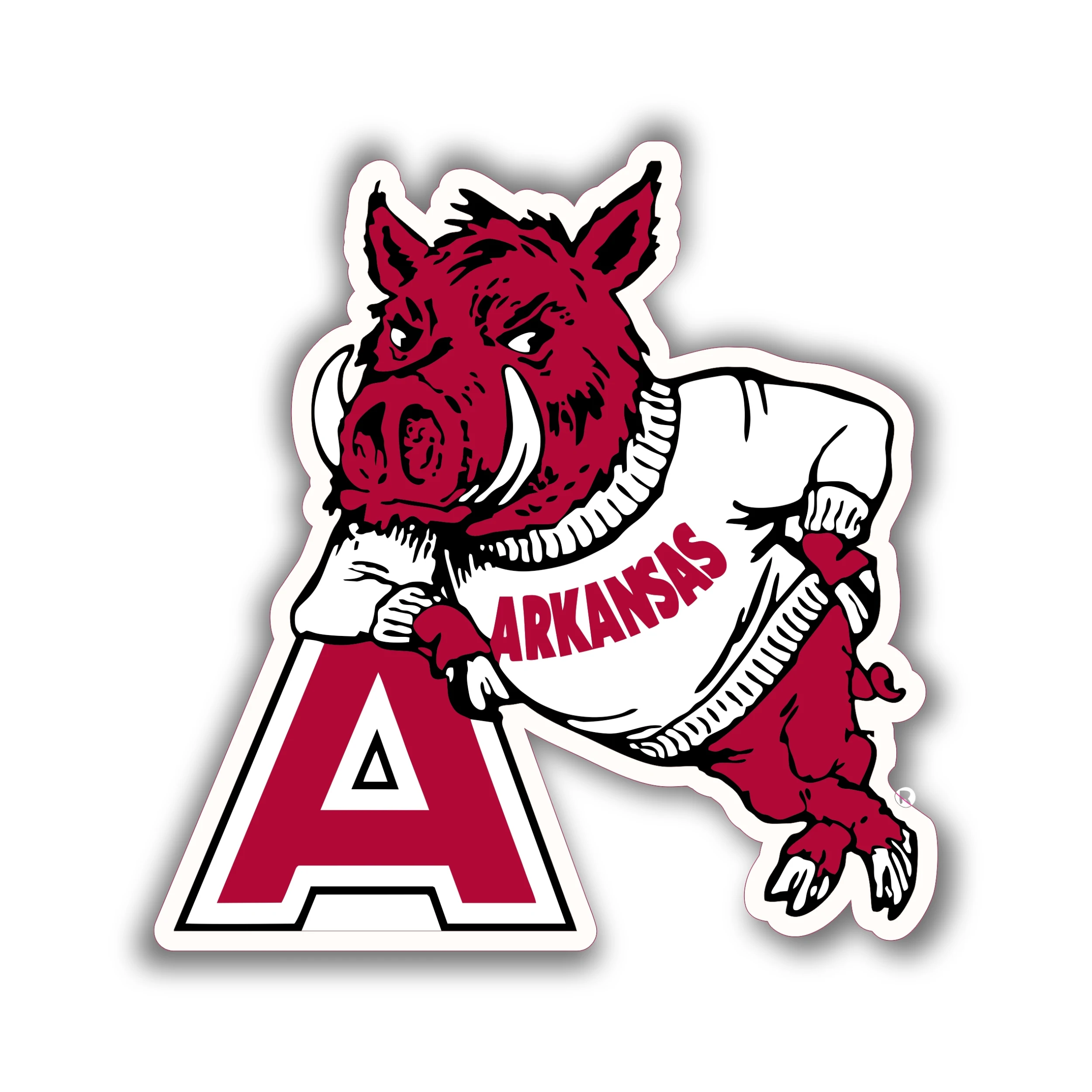 Arkansas Razorbacks - Iron On DTF Transfer - Custom Size