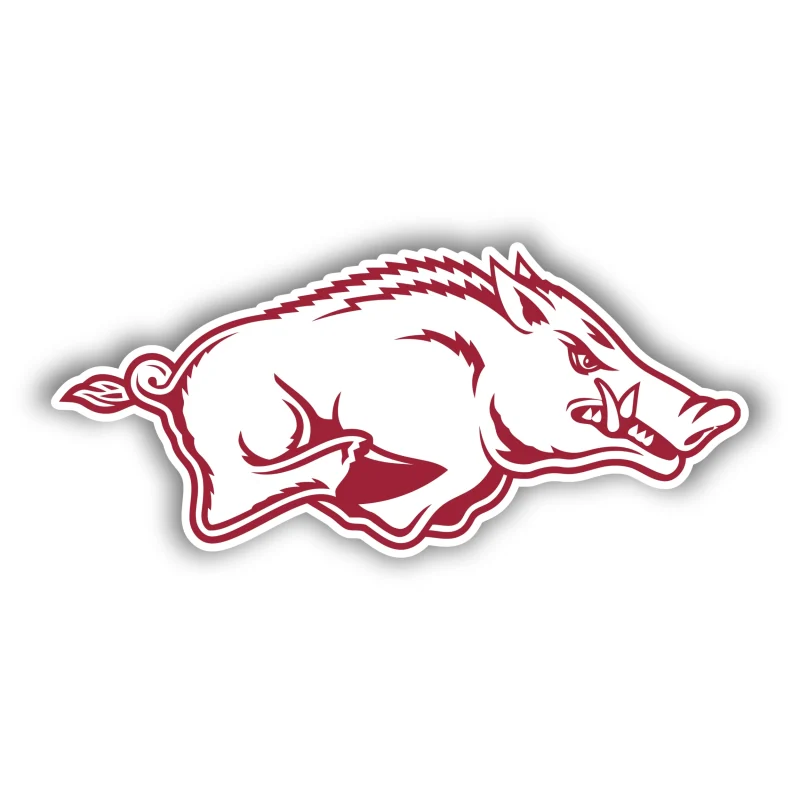 Arkansas Razorbacks - Iron On DTF Transfer - Custom Size