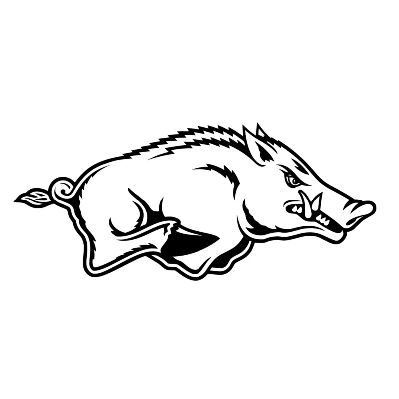Arkansas Razorbacks Vinyl Decal - Custom Size