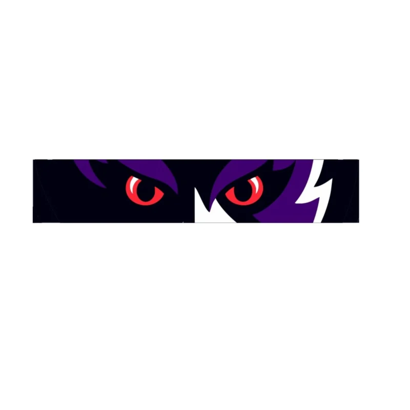 Baltimore Ravens Full Color Vinyl Sticker - Custom Size