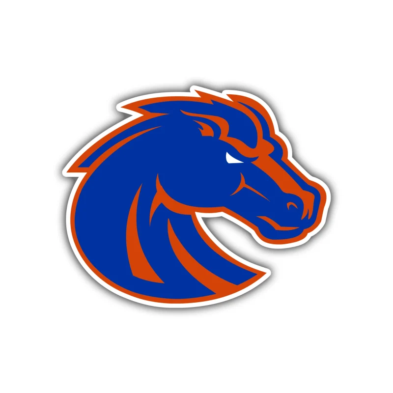 Boise State Broncos - Broncos Head - Iron On DTF Transfer - Custom Size