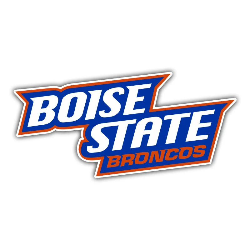 Boise State Broncos - White Lettering - Iron On DTF Transfer - Custom Size