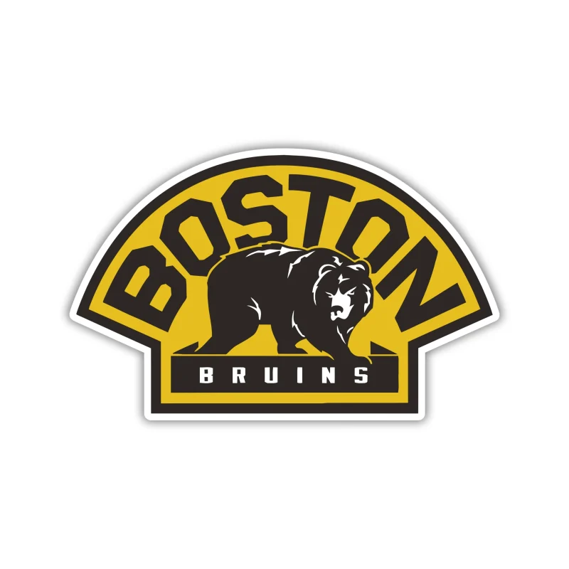 Boston Bruins - Bear - Iron On DTF Transfer - Custom Size