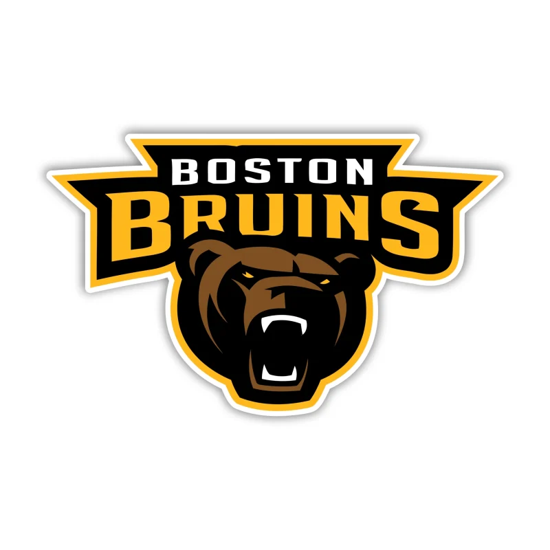 Boston Bruins - Name With Bear - Iron On DTF Transfer - Custom Size