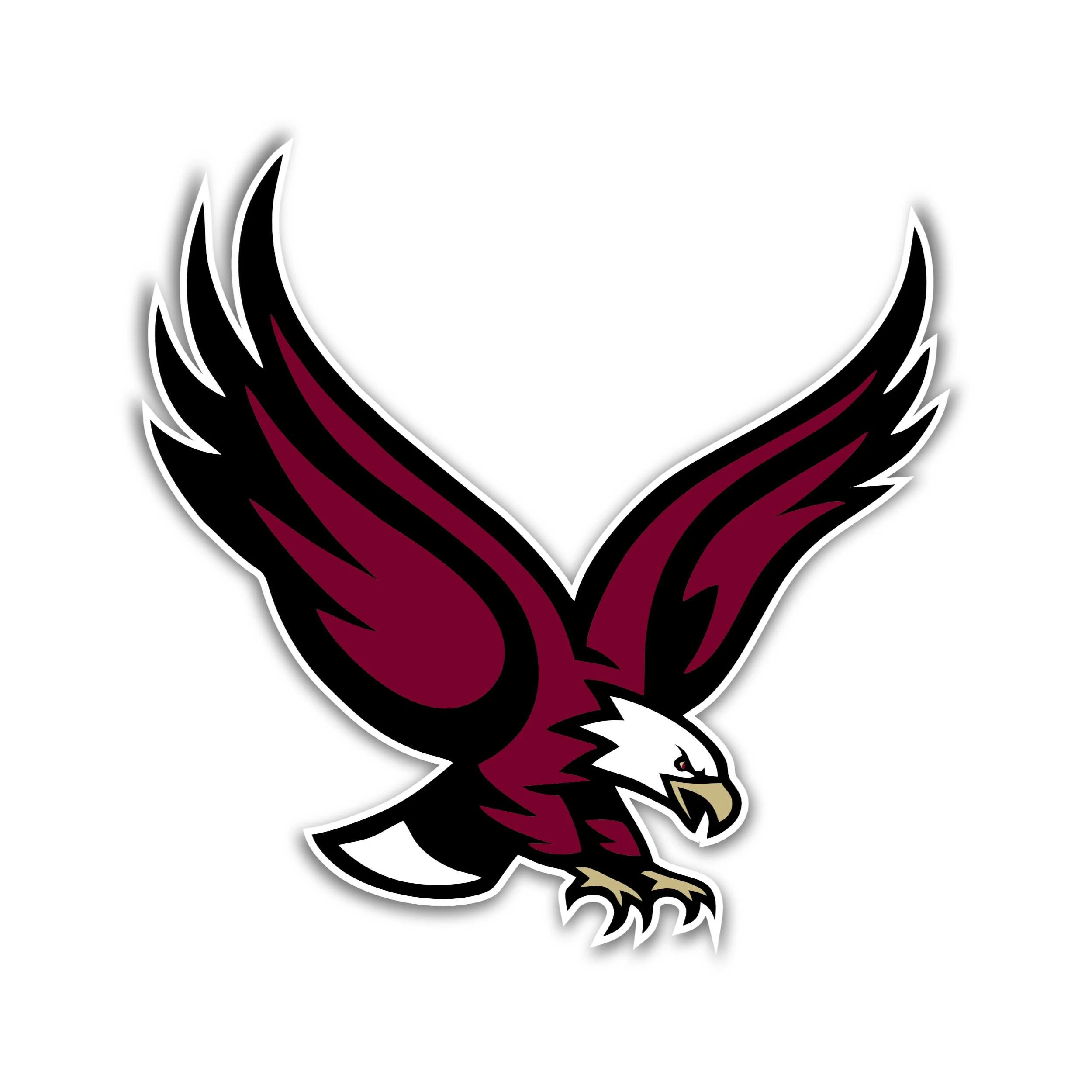 Boston College Eagles Full Color Vinyl Decal - Custom Size