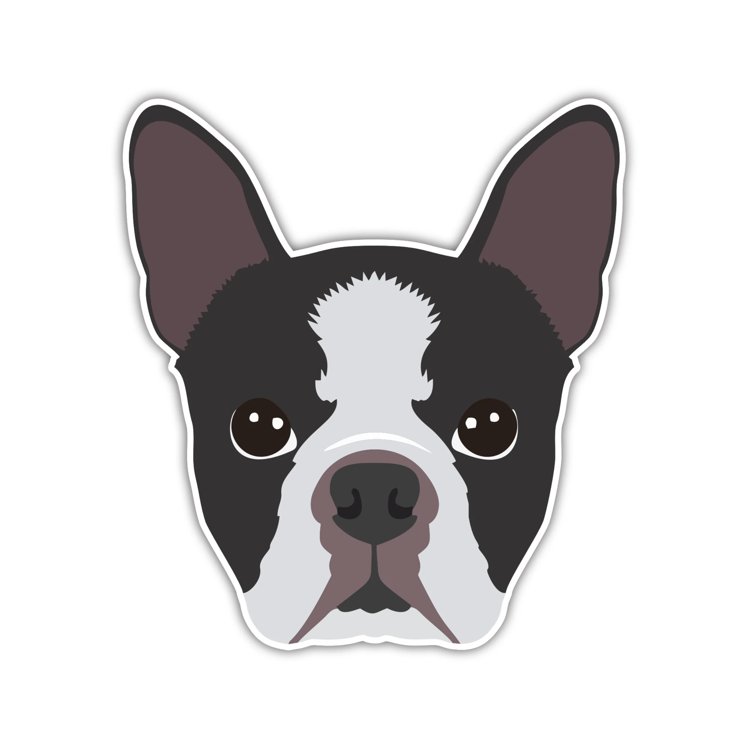 Boston Terrier - Full Color Vinyl Sticker - Custom Size