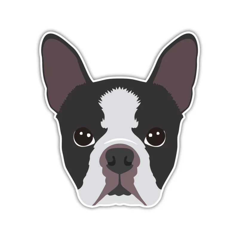 Boston Terrier - Iron On DTF Transfer - Custom Size