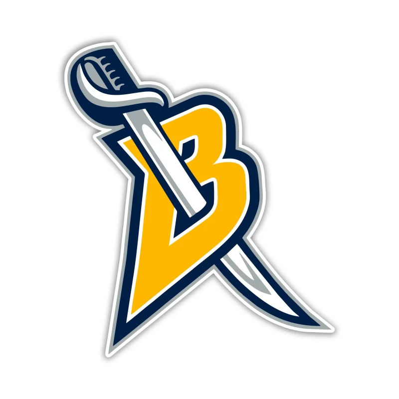 Buffalo Sabres - B with Sword - Iron On DTF Transfer - Custom Size