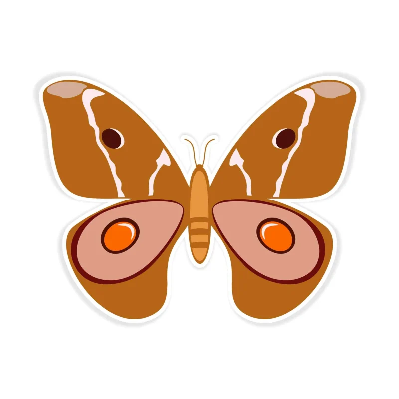 Butterfly - Full Color Vinyl Decal