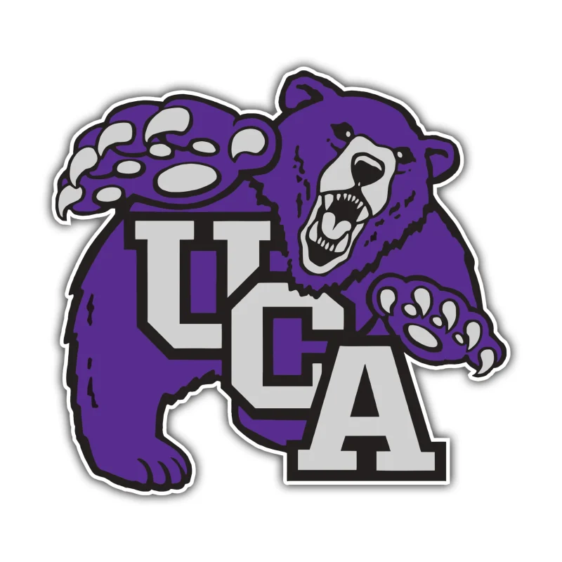 Central Arkansas Bears - Iron On DTF Transfer - Custom Size