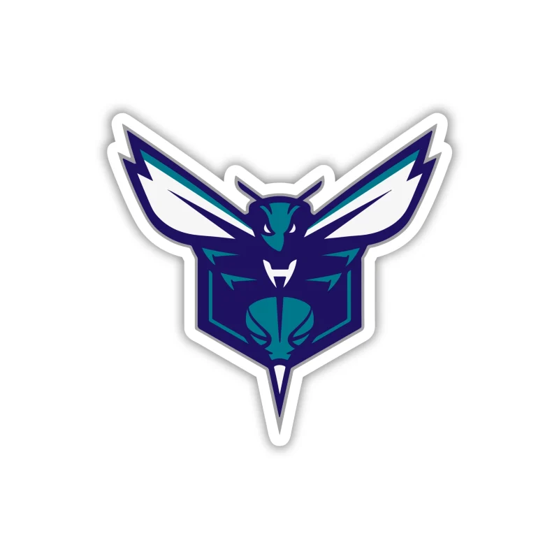 Charlotte Hornets - Iron On DTF Transfer - Custom Size