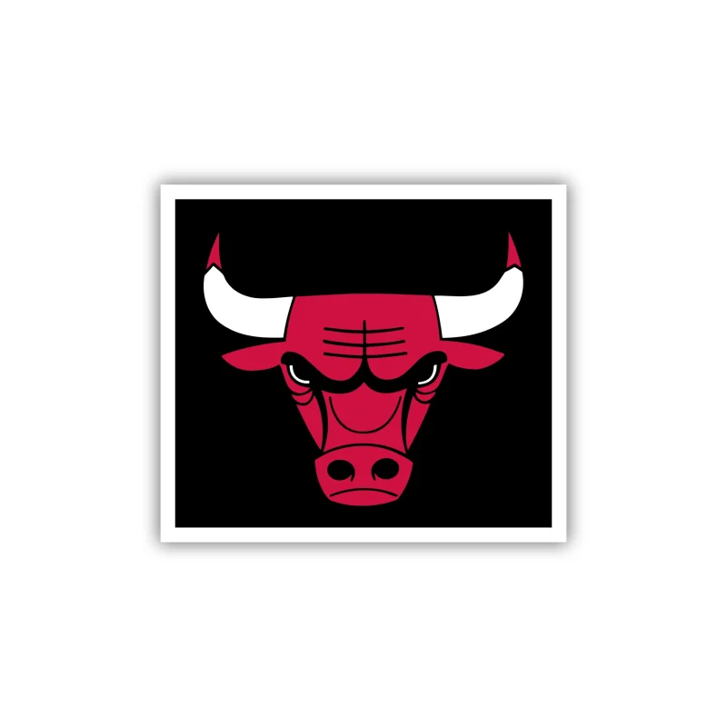 Chicago Bulls - Black Square With Bull Head - Iron On DTF Transfer - Custom Size
