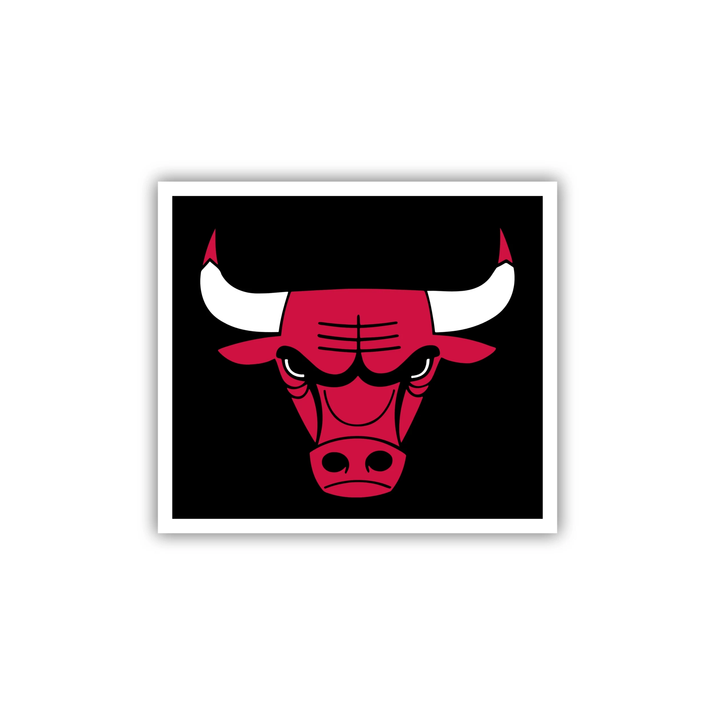 Chicago Bulls - Black Square With Bull Head - Iron On DTF Transfer - Custom Size
