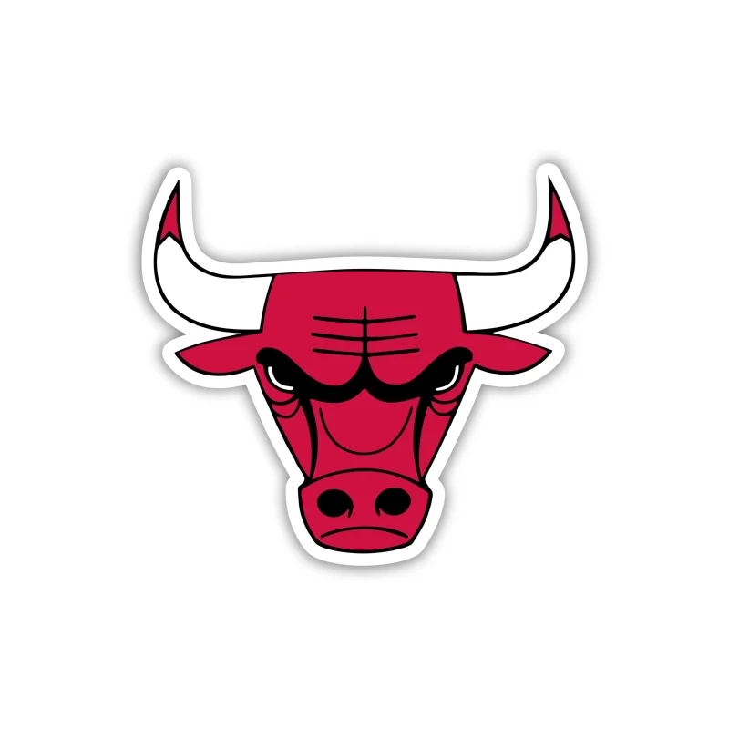 Chicago Bulls - Bull Head - Iron On DTF Transfer - Custom Size