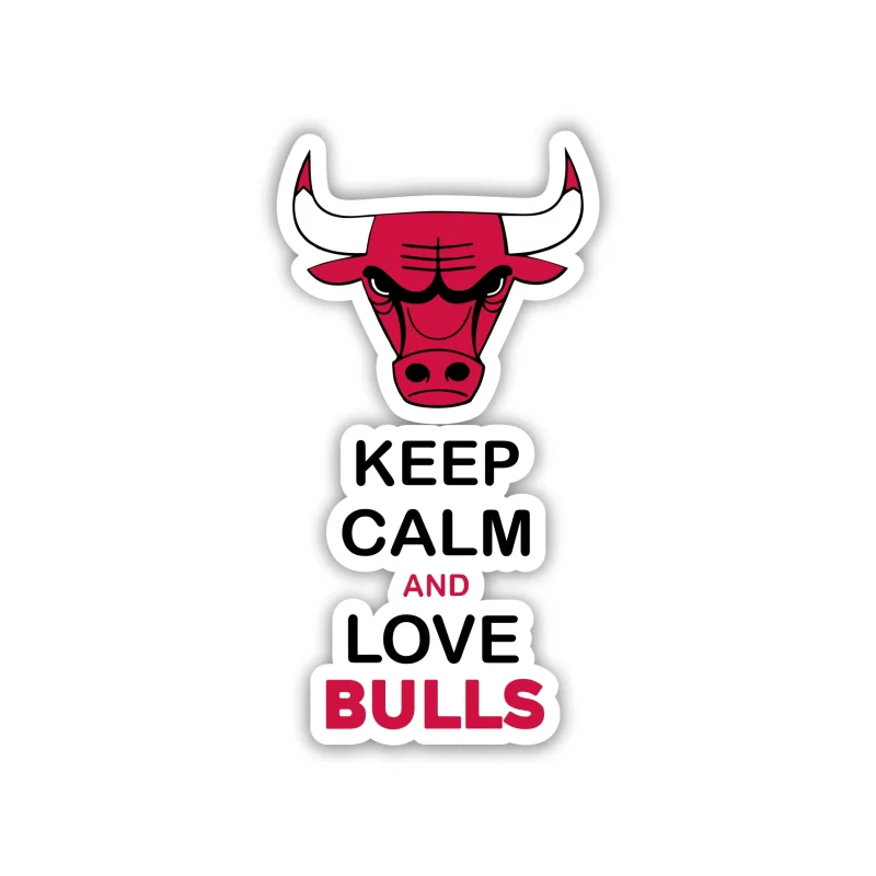 Chicago Bulls - Keep Calm And Love Bulls - Temporary Tattoo