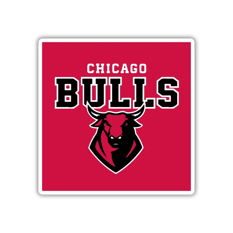Chicago Bulls - Red Square With Bull And Name - Iron On DTF Transfer - Custom Size