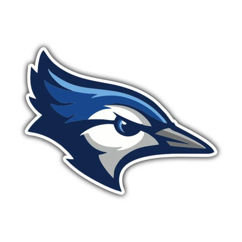 Creighton Blue Jays - Bird Head - Iron On DTF Transfer - Custom Size