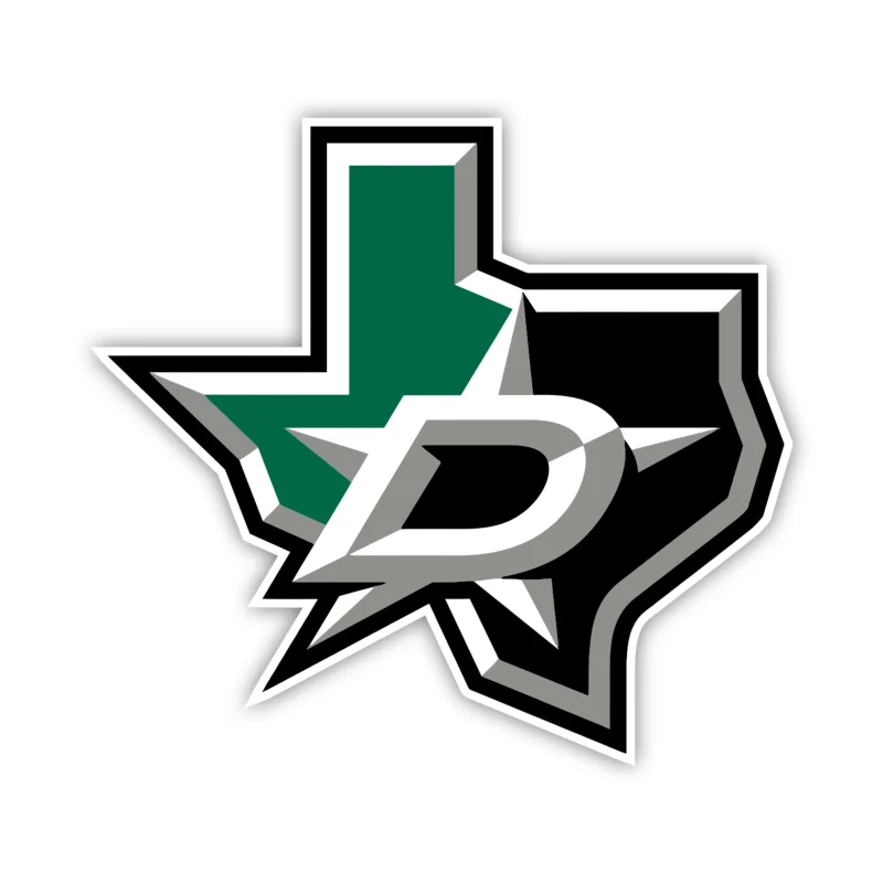 Dallas Stars - State - Full Color Vinyl Sticker - Custom Size