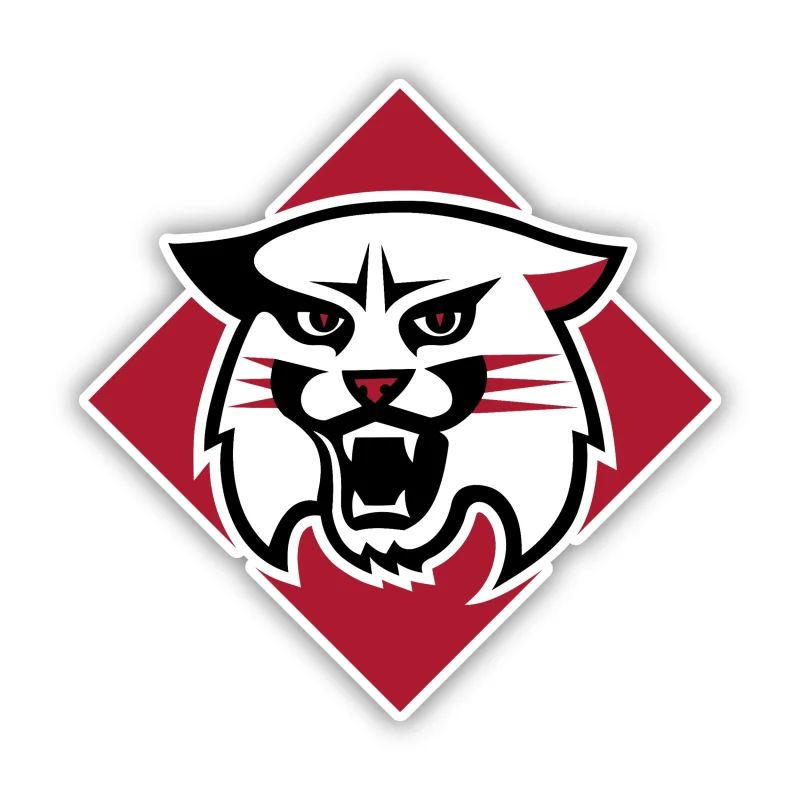 Davidson Wildcats - Iron On DTF Transfer - Custom Size