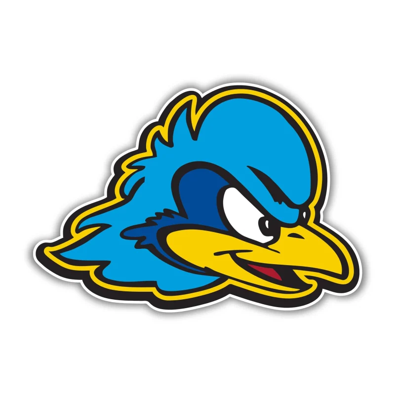Delaware Blue Hens Full Color Vinyl Decal - Custom Size