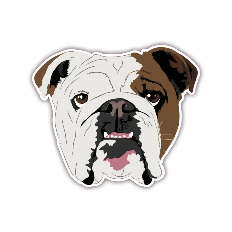 English Bulldog - Iron On DTF Transfer - Custom Size