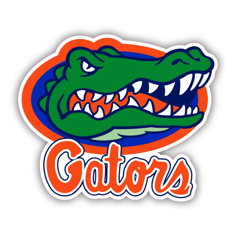 Florida Gators - Iron On DTF Transfer - Custom Size