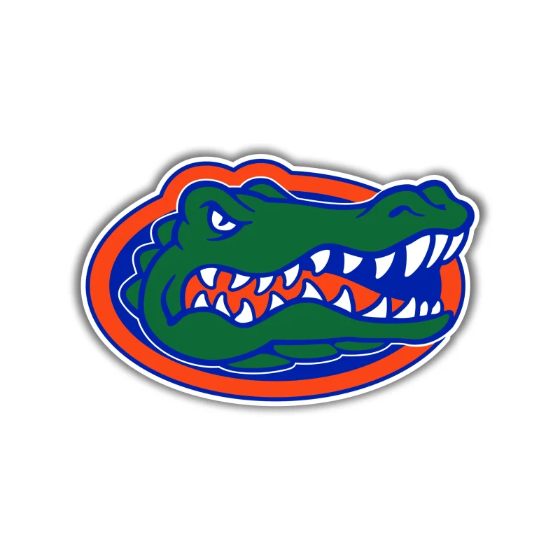 Florida Gators - Iron On DTF Transfer - Custom Size