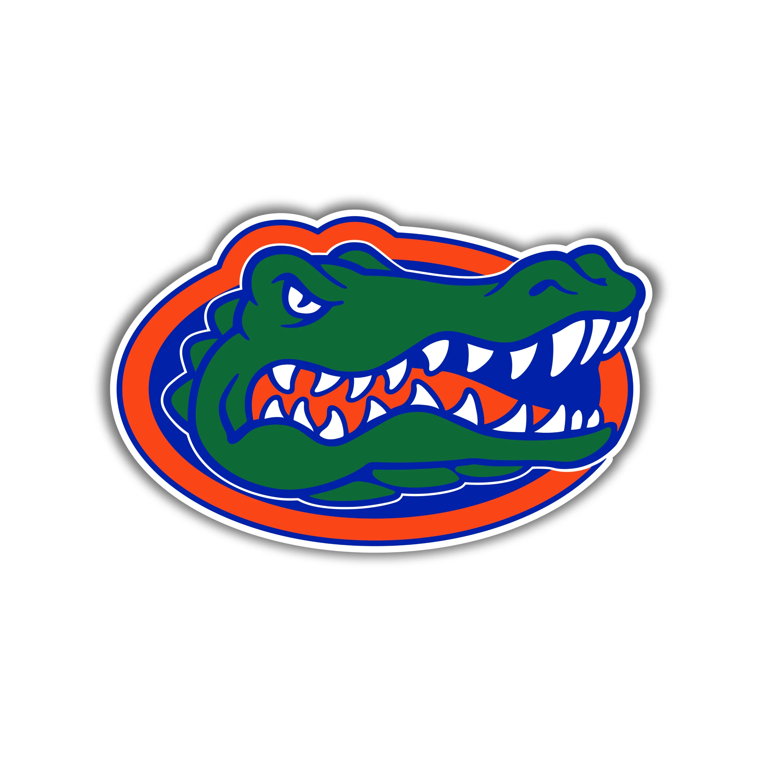 Florida Gators - Iron On DTF Transfer - Custom Size