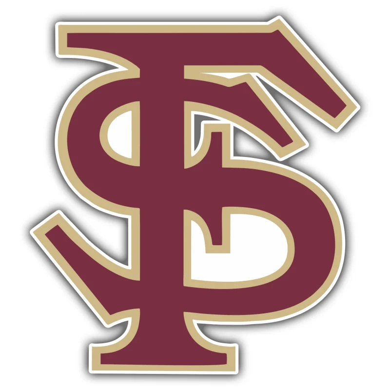 Florida State Seminoles - FS - Iron On DTF Transfer - Custom Size