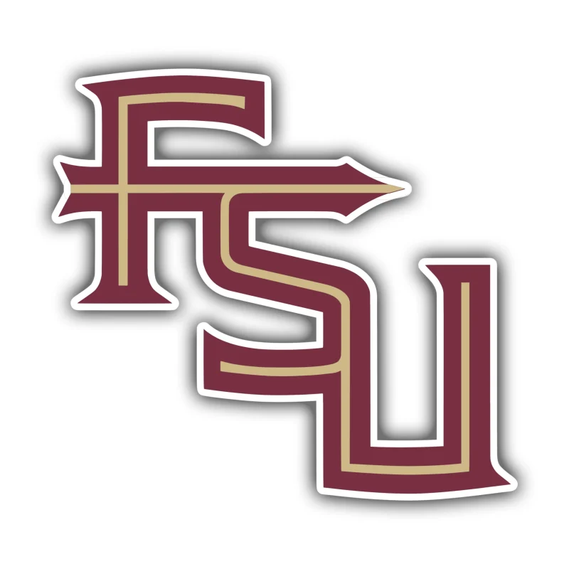 Florida State Seminoles - FSU - Iron On DTF Transfer - Custom Size