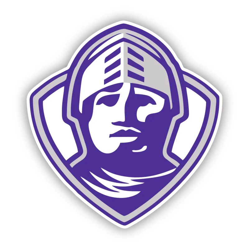Furman Paladin - Iron On DTF Transfer - Custom Size