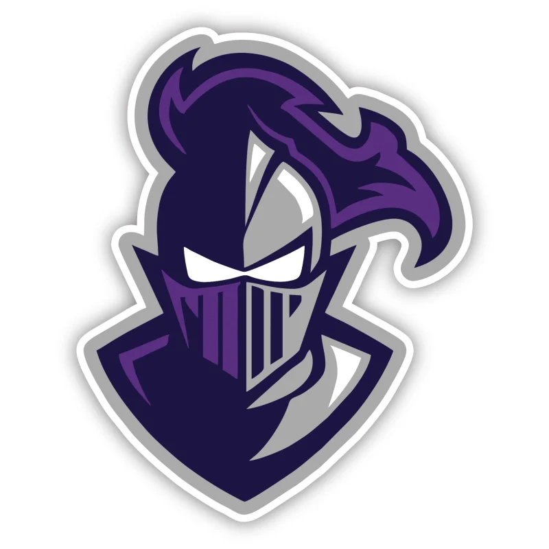 Furman Paladin - Iron On DTF Transfer - Custom Size