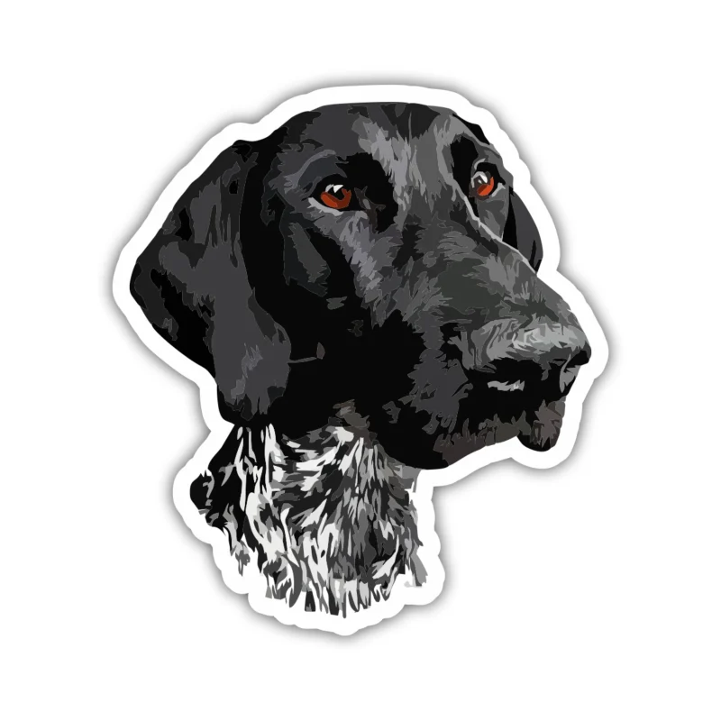 German Shorthaired Pointer - Iron On DTF Transfer - Custom Size