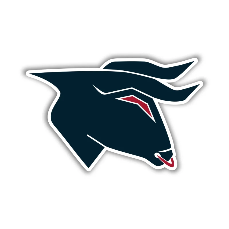 Houston Texans - Bullhead - Temporary Tattoo
