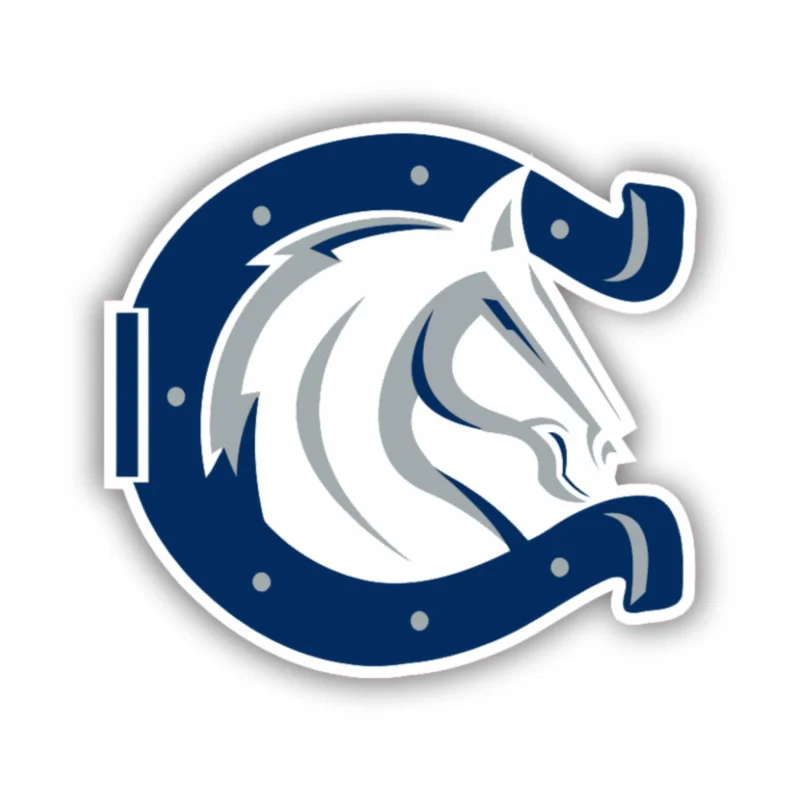 Indianapolis Colts Full Color Vinyl Sticker - Custom Size