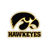 Iowa Hawkeyes - Black Hawkeye - Full Color Vinyl Decal - Custom Size