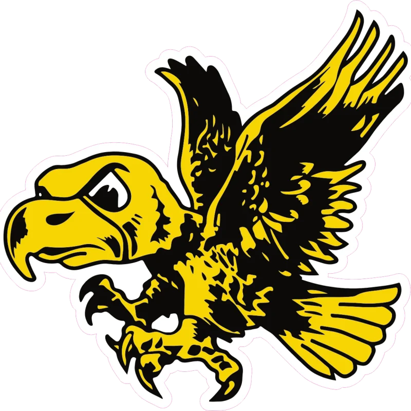 Iowa Hawkeyes - Hawk - Iron On DTF Transfer - Custom Size
