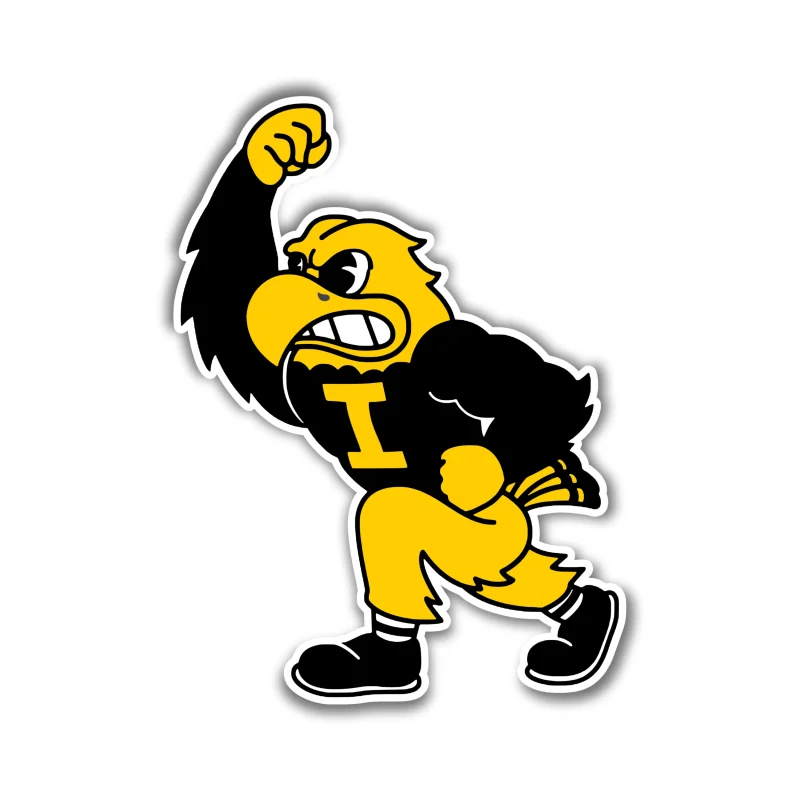 Iowa Hawkeyes - Hawk - Iron On DTF Transfer - Custom Size