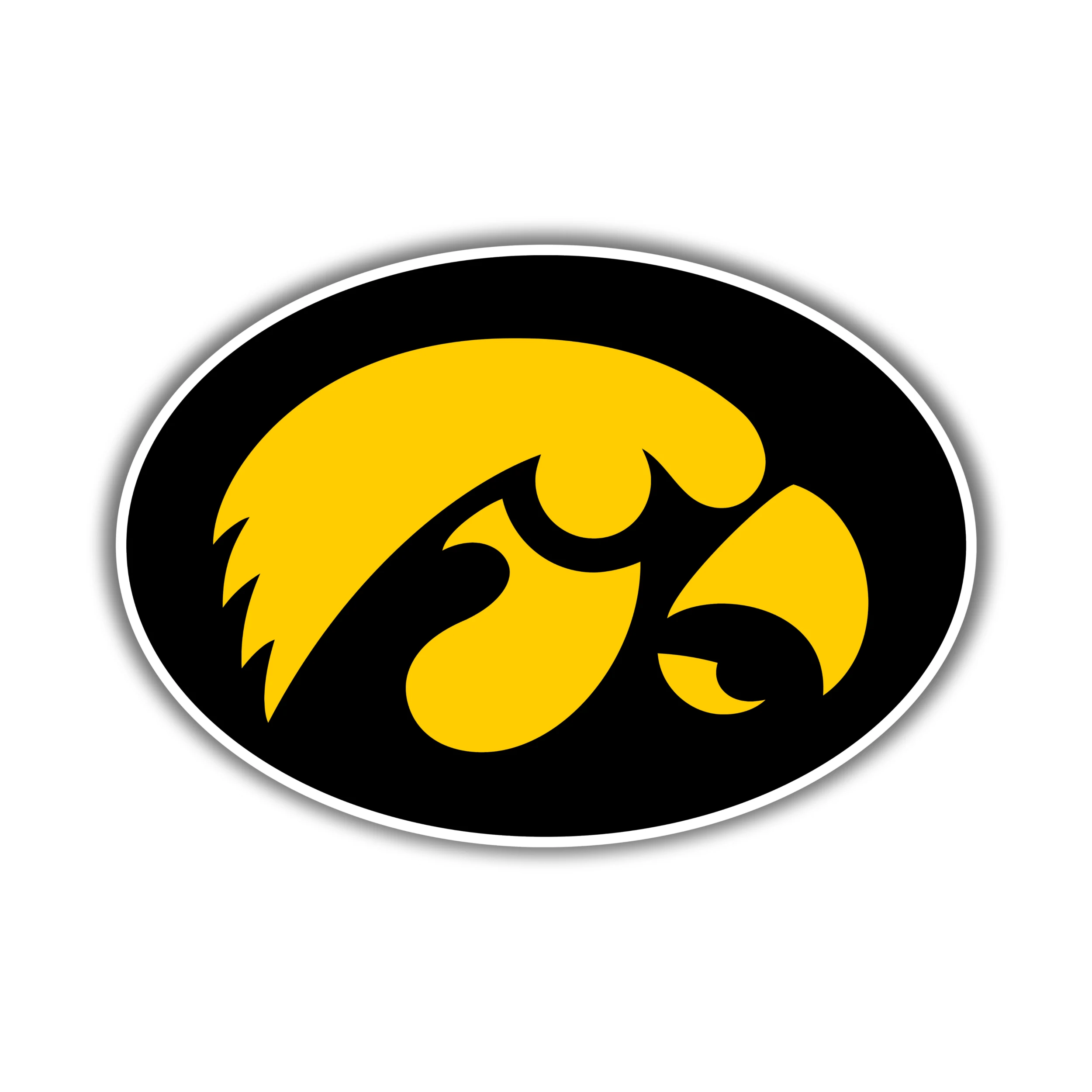 Iowa Hawkeyes - Yellow Hawk Head - Iron On DTF Transfer - Custom Size