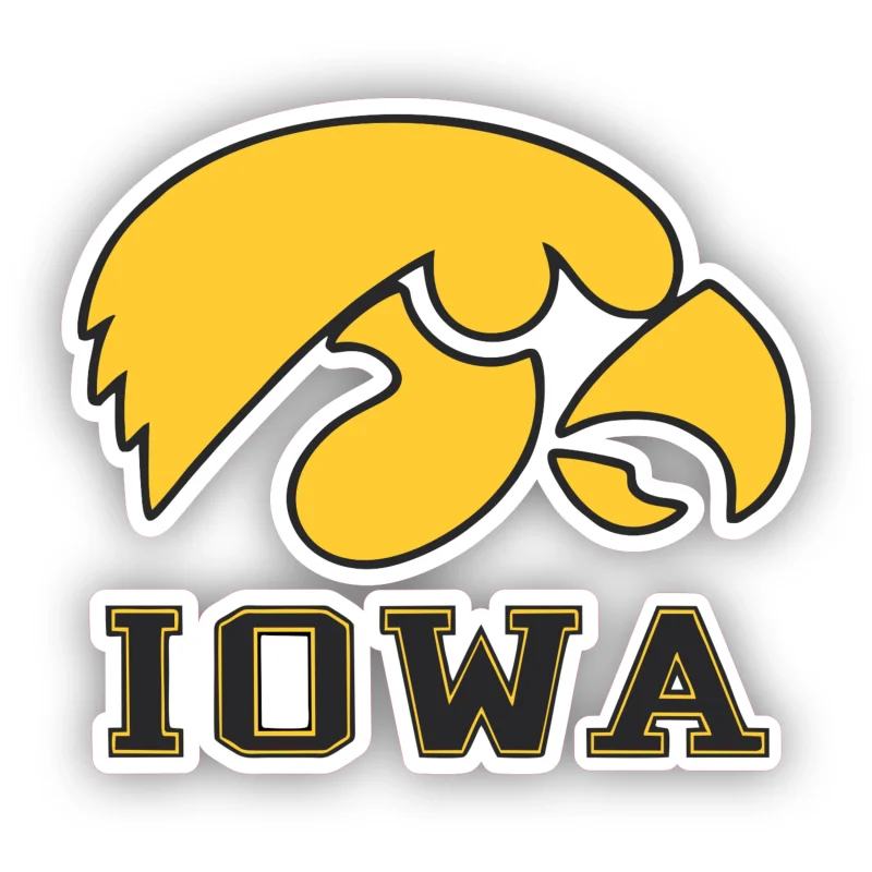 Iowa Hawkeyes - Yellow Hawk - Iron On DTF Transfer - Custom Size