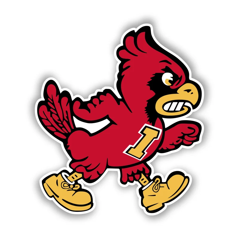 Iowa State Cyclones - Iron On DTF Transfer - Custom Size